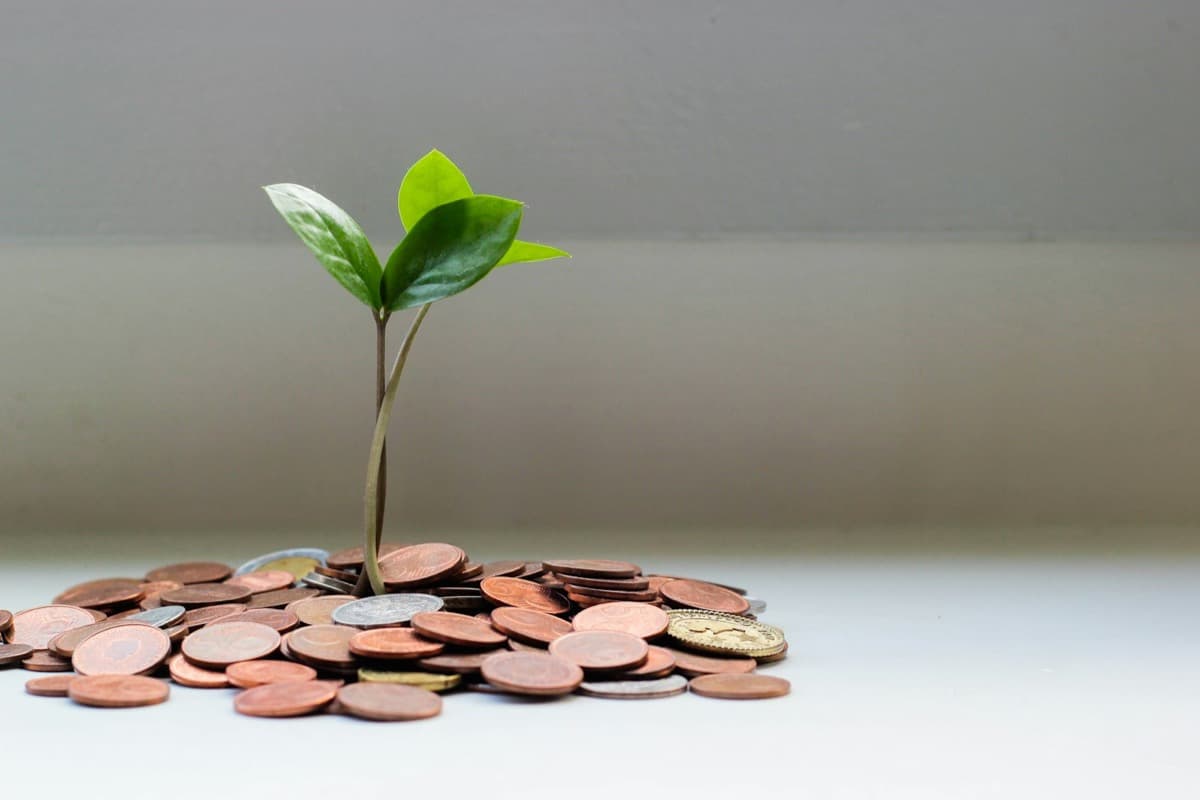 Saving vs Investing: Two Different Jobs for Your Money